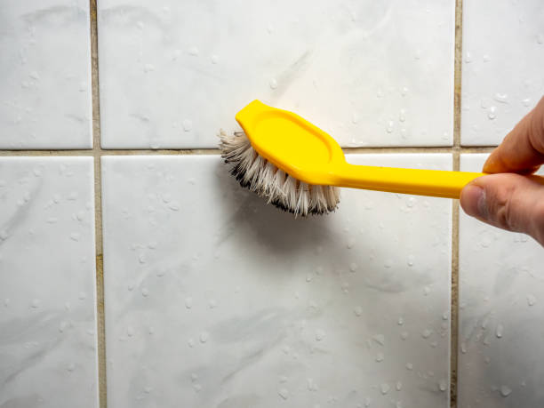 Best Commercial Mold Removal  in New London, MN