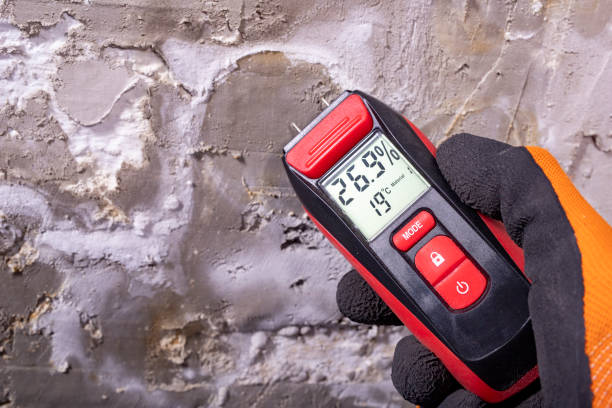 Office Mold Removal Services in New London, MN