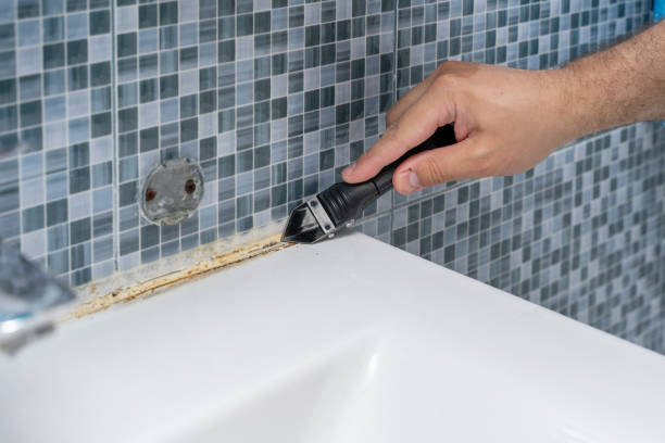 Best Local Mold Removal Service  in New London, MN