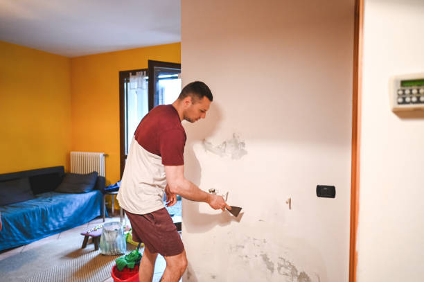 Best Professional Mold Removal  in New London, MN